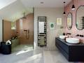 Zehnder_RAD_Tetris-MX_IHC-ValveTypQ_170-50_Umbragrey_bathroom_Industrial